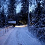 NATALE IN CAMPAGNA: TRADIZIONI AGRICOLE TRA TERRA E FOLCLORE