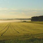 PREPARARE IL TERRENO PER LA PRIMAVERA: ECCO I LAVORI DA FARE