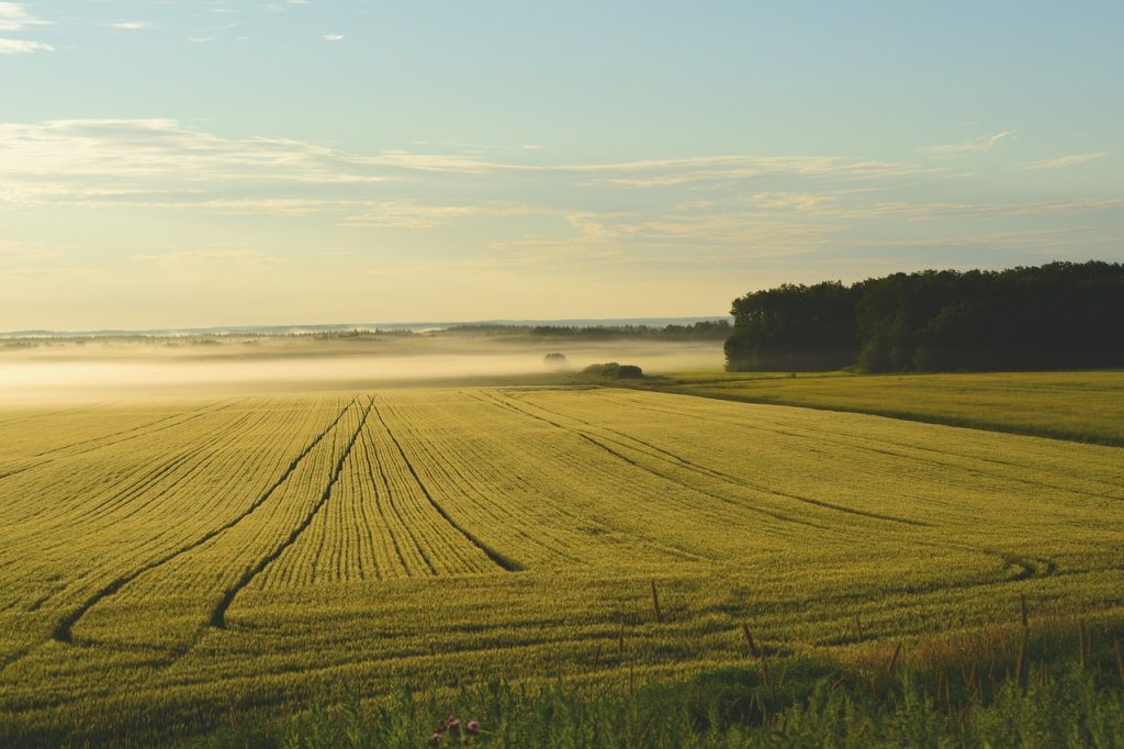 PREPARARE IL TERRENO PER LA PRIMAVERA: ECCO I LAVORI DA FARE