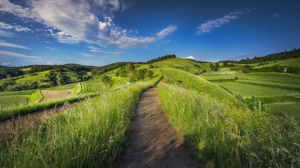 GESTIONE DI MALATTIE E INFESTAZIONI IN AGRICOLTURA: UN APPROCCIO SOSTENIBILE