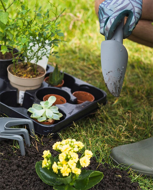 Franceschini - Vendita prodotti per giardinaggio